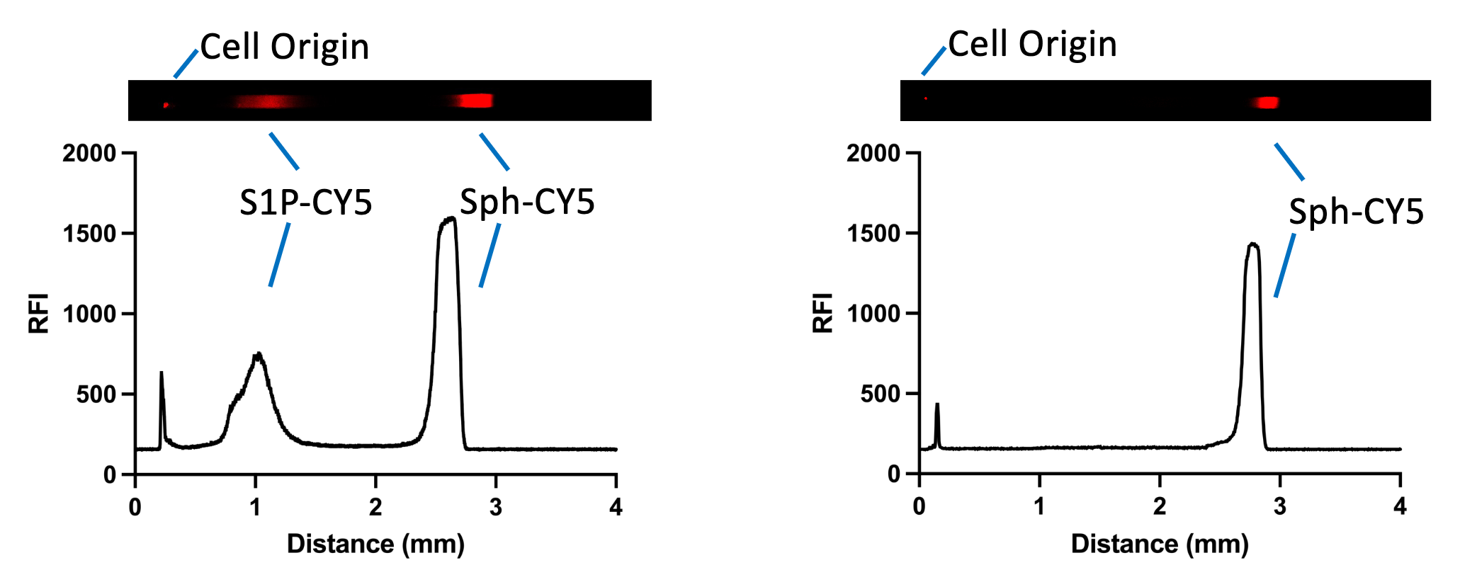 Two single-cell separations: a control cell shows both S1P-Cy5 (product) and Sph-Cy5 (substrate) peaks, while a drug-treated cell shows only the Sph-Cy5 peak — the kinase is inhibited.