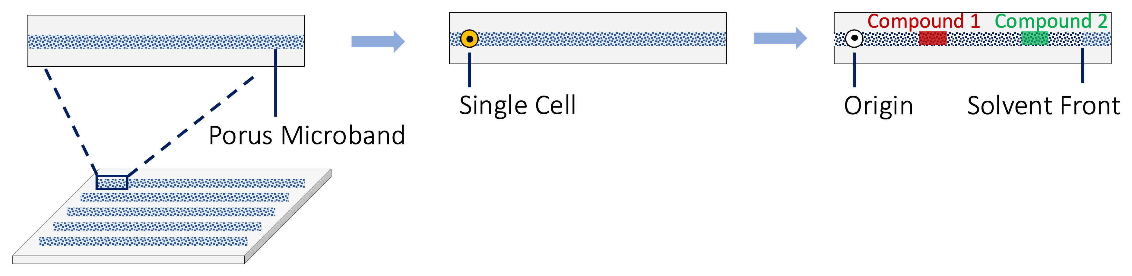 picoTLC separation schematic — a single cell is loaded at the origin on the porous microband; its lipids separate toward the solvent front, resolving Compound 1 and Compound 2